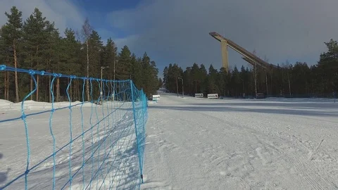 Winter Forest 库存影片 81863457