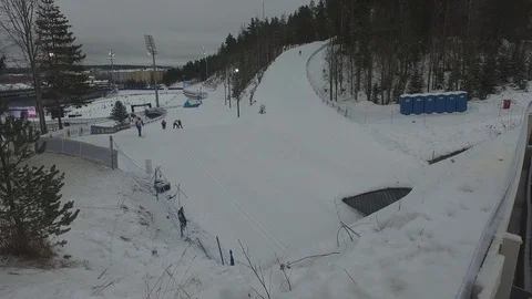 Winter Forest 库存影片 81863684