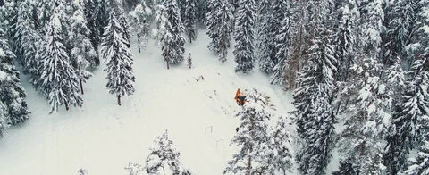 Winter forest Stock Footage 85676060