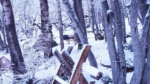 Winter in the forest Stock Footage 86626769