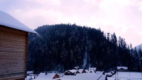 Winter in the forest Stock Footage 91505662