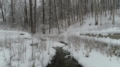 Winter In Forest Stock Footage 98422125