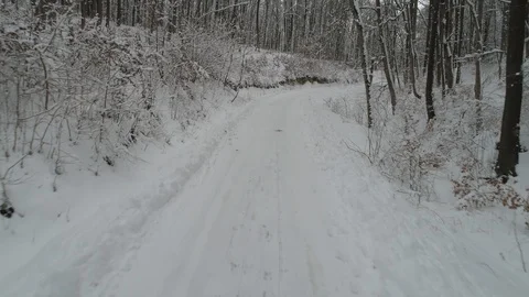 Winter In Forest Stock Footage 99084619