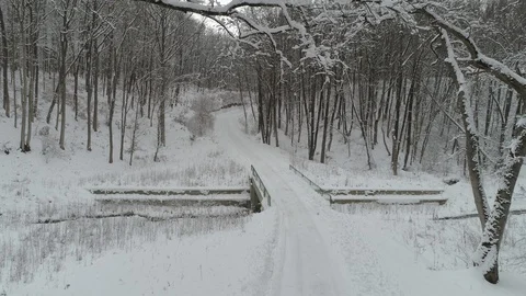 Winter In Forest Stock Footage 100111356