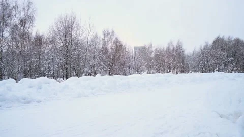 Winter in the forest Stock Footage 102881714