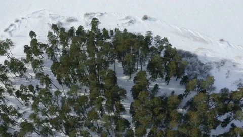 Winter forest Stock Footage 151808482