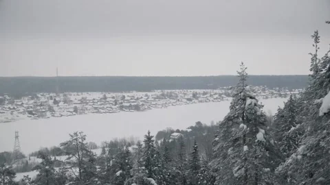 Winter forest Stock Footage 158743429