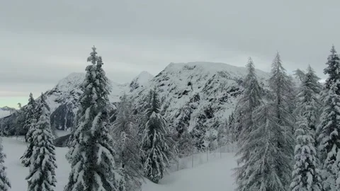 Winter forest Video stock 163162989