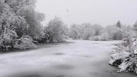 Winter in the forest Stock Footage 278482828