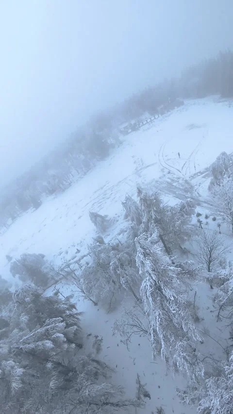 Winter Forest FPV Drone Flythrough Stock Footage 327267982