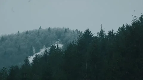 Winter Forest, Frozen White Mountain Peak behind Dark Pine Trees, loopable Stock Footage 329068358
