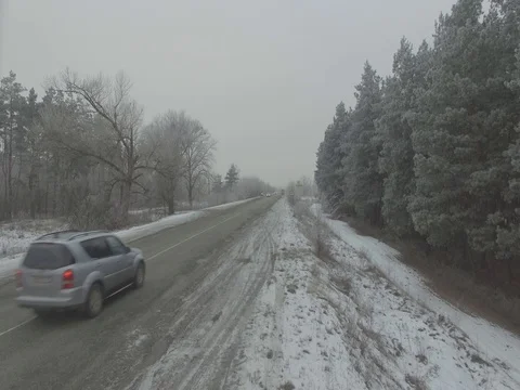 Winter forest, gloomy day. D-Log Flat Video For Editing Stock Footage 71701596