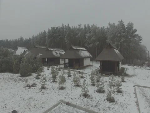 Winter forest, gloomy day. D-Log Flat Video For Editing Stock Footage 71703353