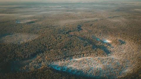 Winter forest from a height Foto stock