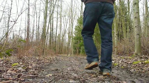 Winter Forest Hike Stock Footage 10884627