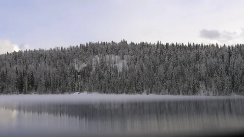 Winter forest on the hill and reflection Video stock 104587254