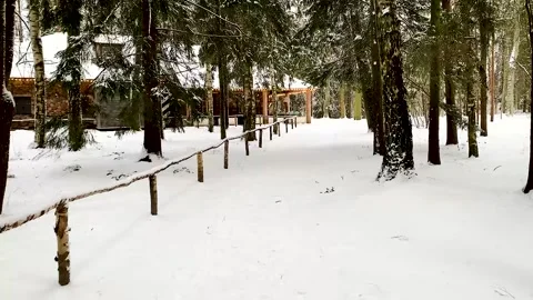 Winter Forest House in the Forest Stock Footage 302787021