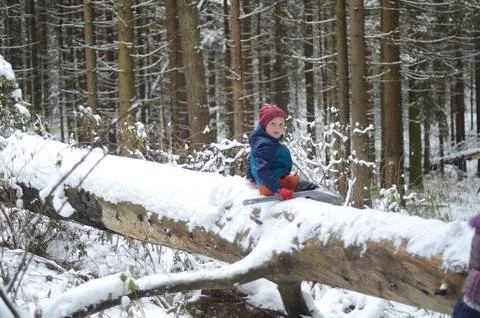 Winter forest. A huge trunk of a fallen tree covered with snow. Stock Photos