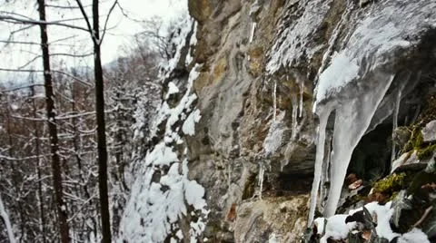 Winter forest with icicles Stock Footage 21256722