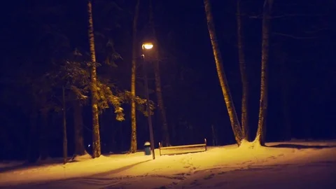 Winter forest illuminated by lanterns on a winter night during a snowfall Stock Footage 85423486