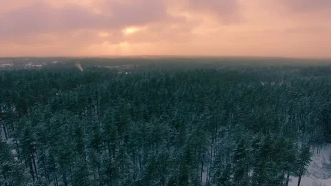 Winter forest in Karelia Stock Footage 70402343