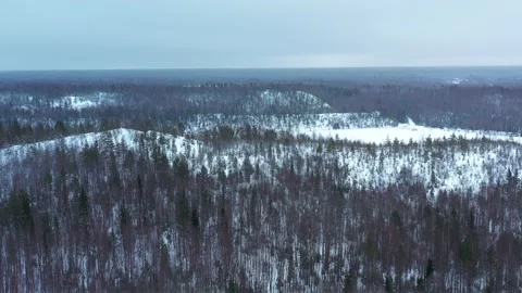 Winter forest. Lake 動画素材 146403649