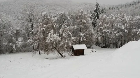 Winter forest landscape after blizzard with a small settlement of wood. Stock Footage 103456051