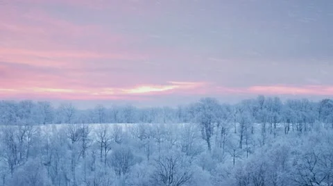 Winter forest landscape and falling snow Stock Footage 21221818