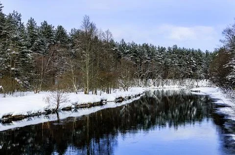 Winter forest landscape with a cold river Stock Photos