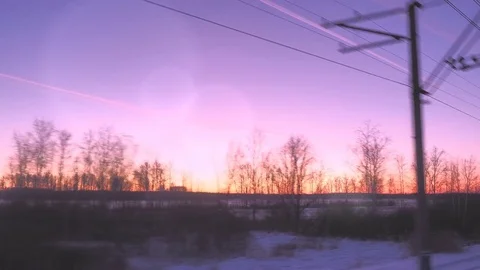 Winter forest landscape at dawn Stock Footage 83799239