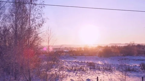 Winter forest landscape at dawn Stock Footage 83799281