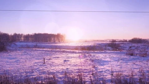 Winter forest landscape at dawn Stock Footage 83908100