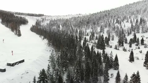 Winter forest landscape from a drone Stock Footage 232367320