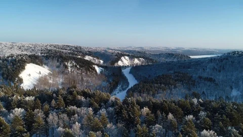 Winter Forest Landscape. Видео 119704955