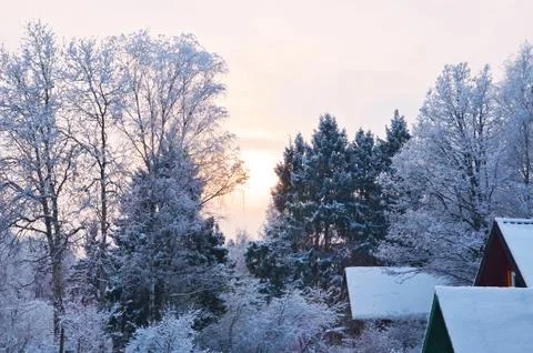 Winter forest landscape, part 2 Stock Photos
