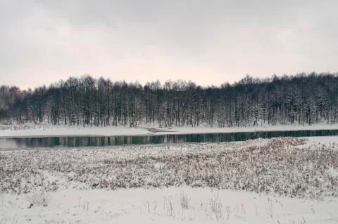 Winter forest landscape Stock Photos