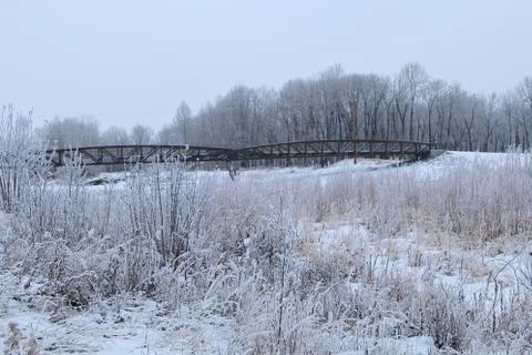 Winter forest landscape Stock Photos