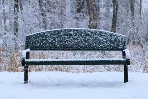 Winter forest landscape Stock Photos