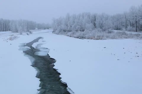 Winter forest landscape Stock Photos
