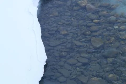 Winter forest landscape Stock Photos