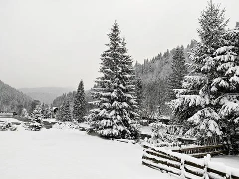 Winter forest landscape with river on background of village Stock Photos