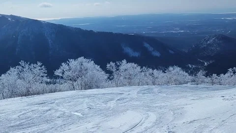 Winter forest landscape with snow-covered tree branches and snowdrifts Stock Footage 294545639