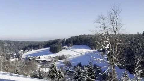 Winter forest landscape with snow-covered trees, natural daylight Stock Footage 324761105