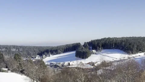 Winter forest landscape with snow-covered trees, natural daylight Stock Footage 324761106
