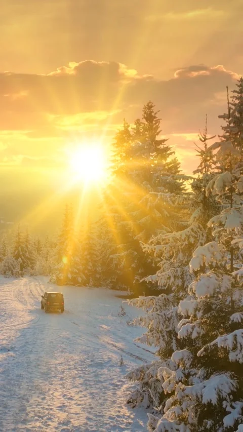 Winter Forest Landscape At Sunset Stock Footage 285064825
