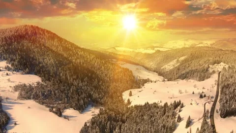 Winter Forest Landscape At Sunset Stock Footage 342828077