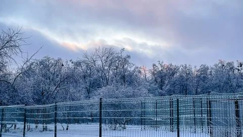 Winter forest landscape with trees covered in ice glaze behind a metal fenc.. Stock Photos