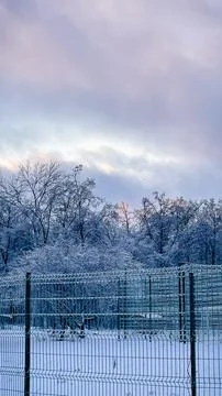 Winter forest landscape with trees covered in ice glaze behind a metal fenc.. Stock Photos