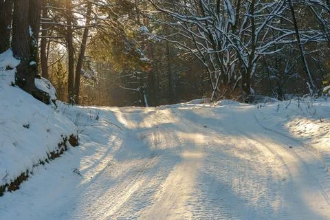 Winter forest landscape. View of the forest covered with snow during sunset.  Foto stock