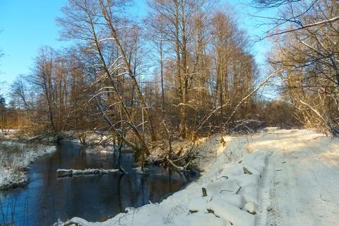 Winter forest landscape. View of the forest covered with snow during sunset.  Stock Photos